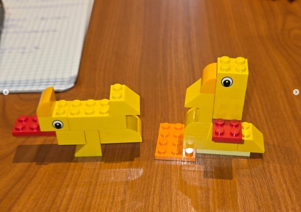 völlig verschiedene Entenmodelle wurden aus Legosteinen erstellt.