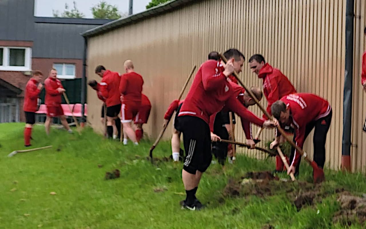 "Platz umwühlen" einmal wörtlich genommen.